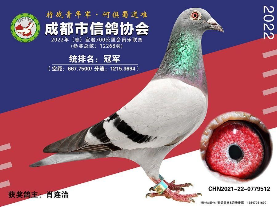 22春会员乐宜君站冠军-20名获奖鸽照片