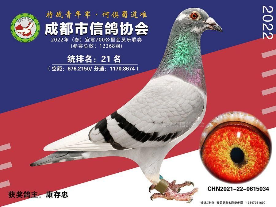 22春会员乐宜君站第21-30名获奖鸽照片