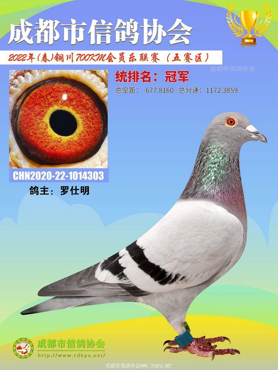 22春会员乐700公里级铜川站前20名照片