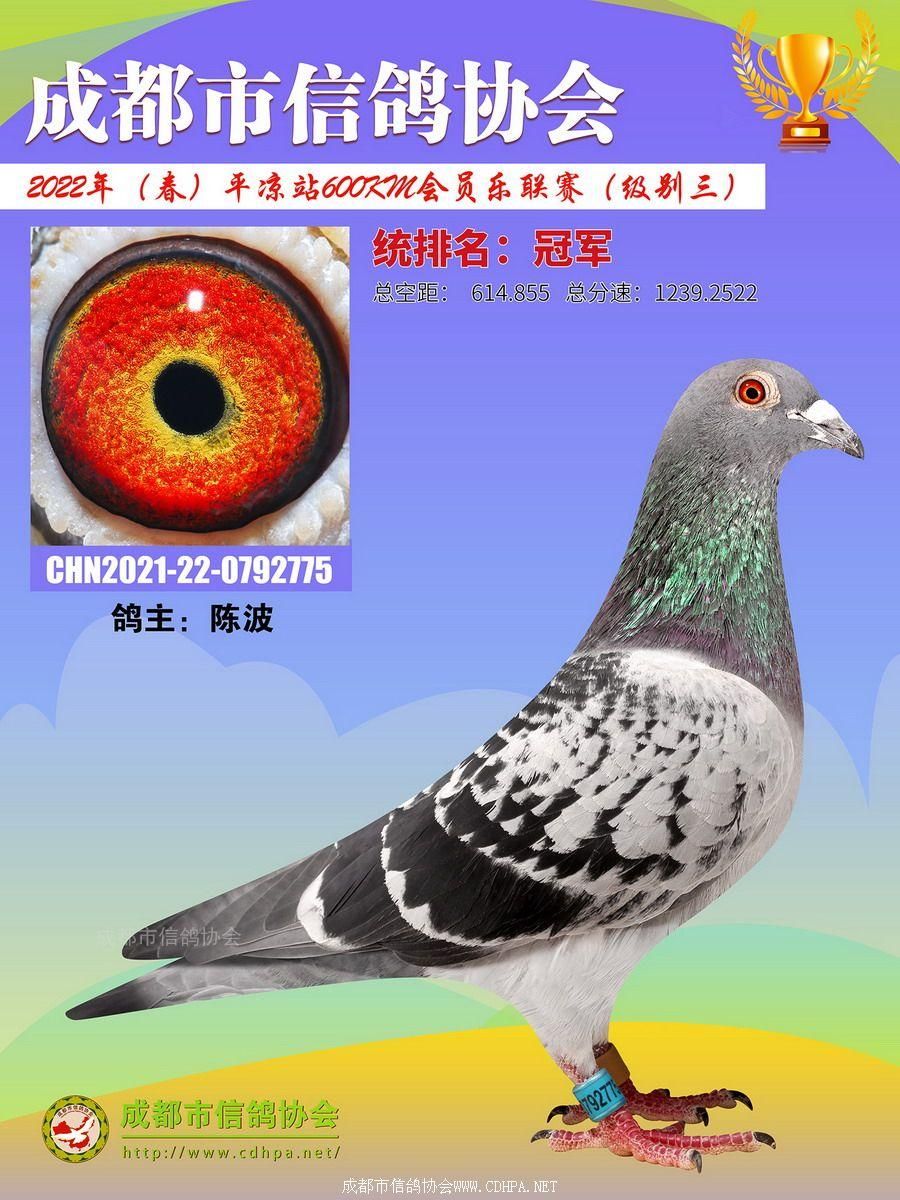 22春会员乐平凉站级别3前10名照片