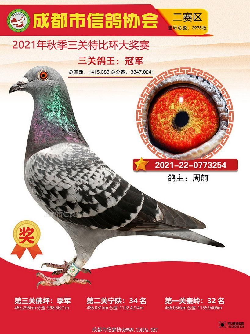 成都市21秋特二赛区三关鸽王冠军-10名照片
