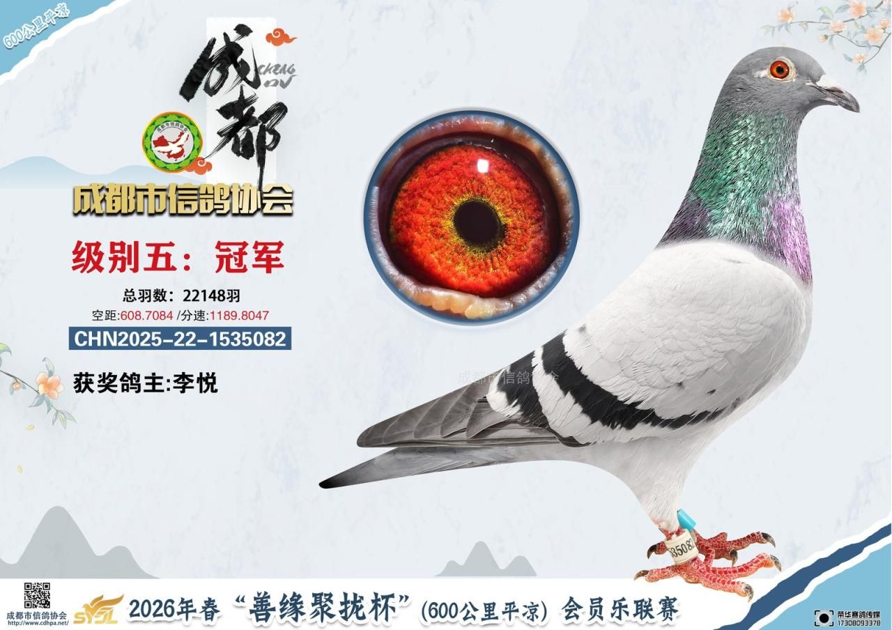 26春成都市“善缘聚拢杯”平凉会员乐联赛级别5前10名获奖鸽