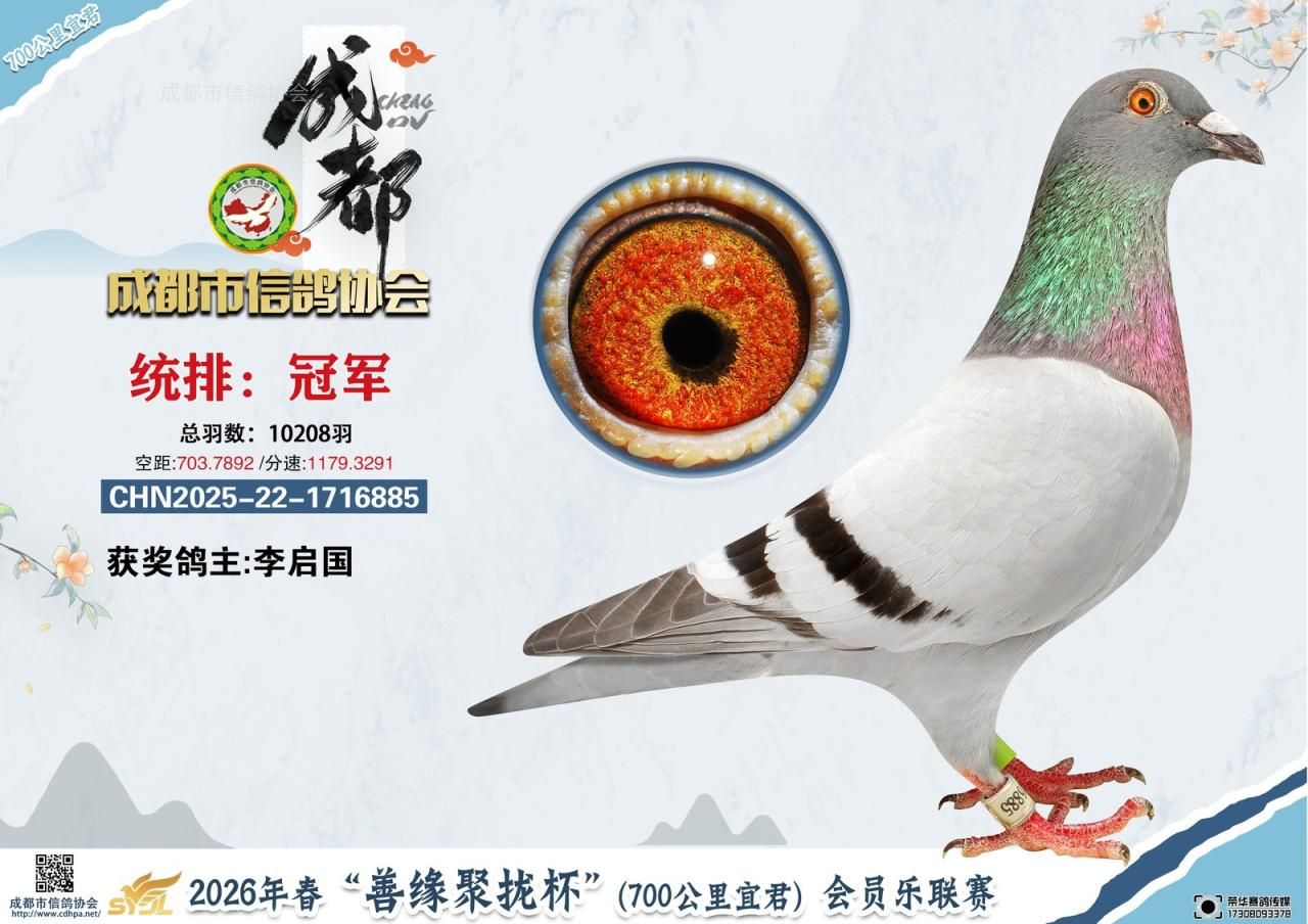 26春成都市“善缘聚拢杯”会员乐联赛宜君站前10名获奖鸽