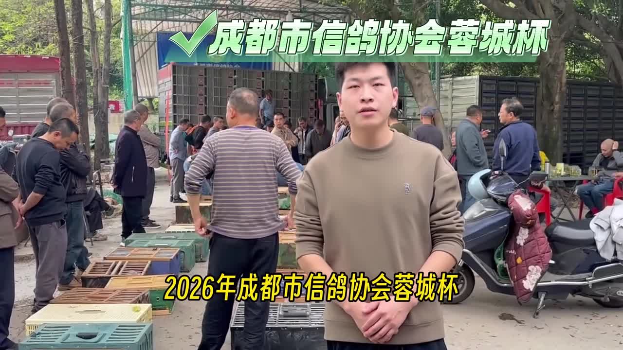  26年春成都市信鸽协会“蓉城杯”5-6-7第一关秦岭站集鸽 