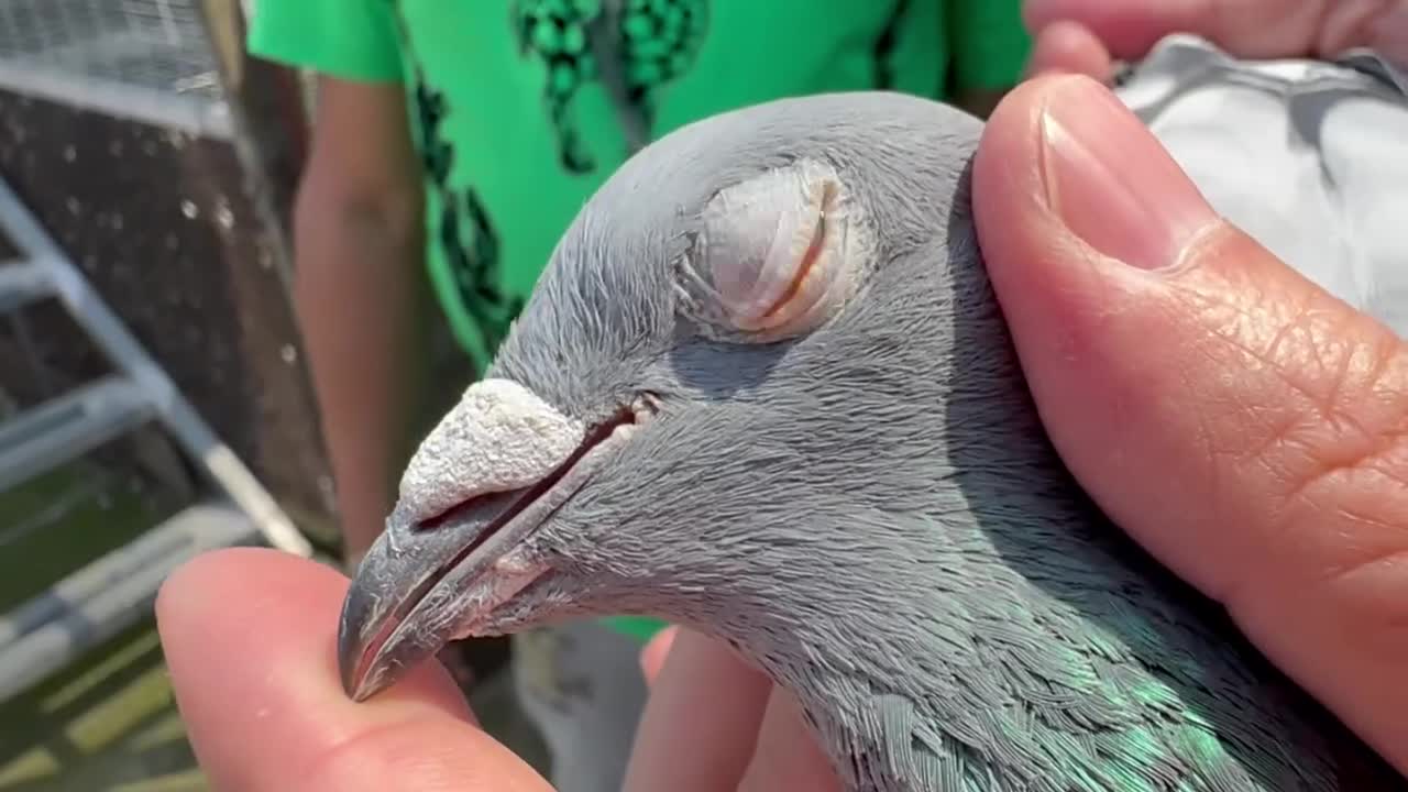  唐东元-26春成都市“善缘聚拢杯”平凉会员乐联赛分速亚军 