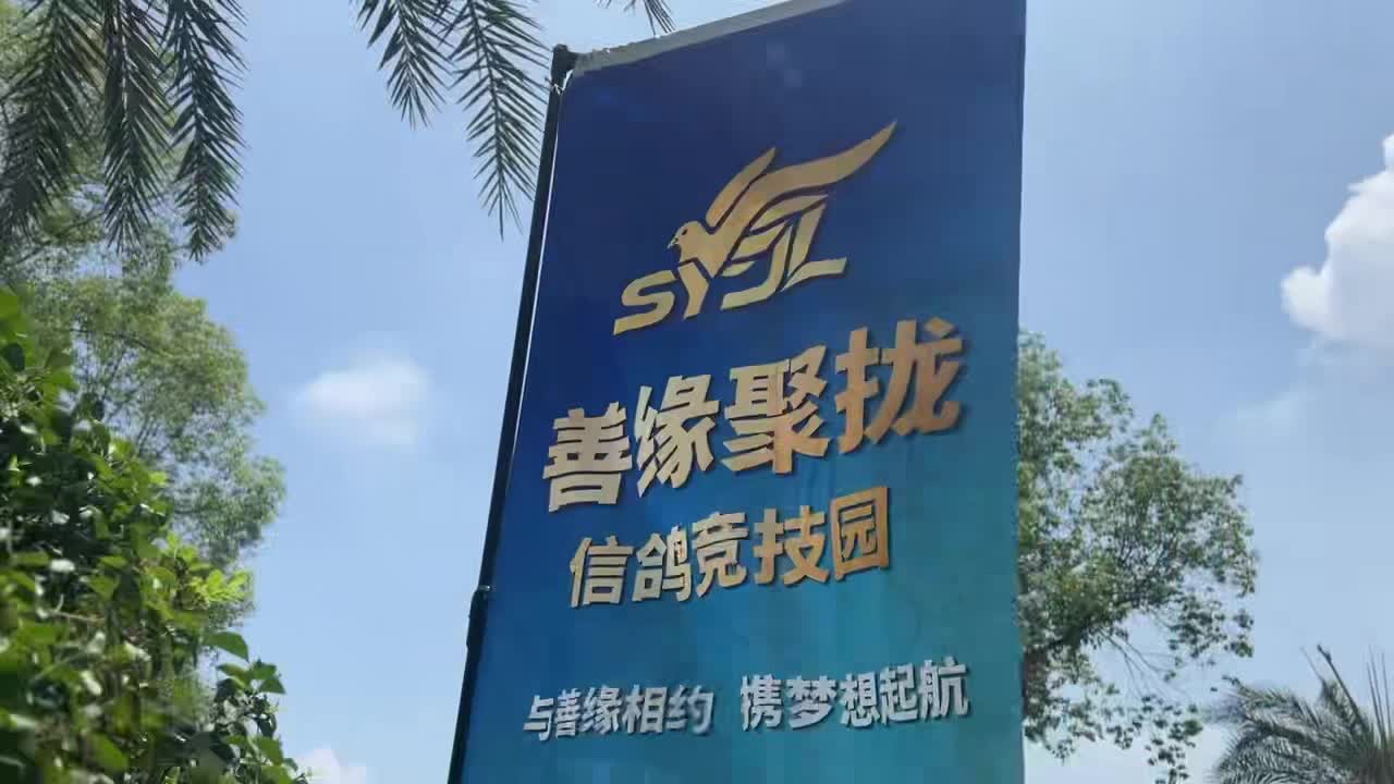   2026年春成都市“会员乐联赛”、“蓉城杯”、“太阳神鸟杯”、“锦标赛”拍卖会  