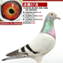 窦勇