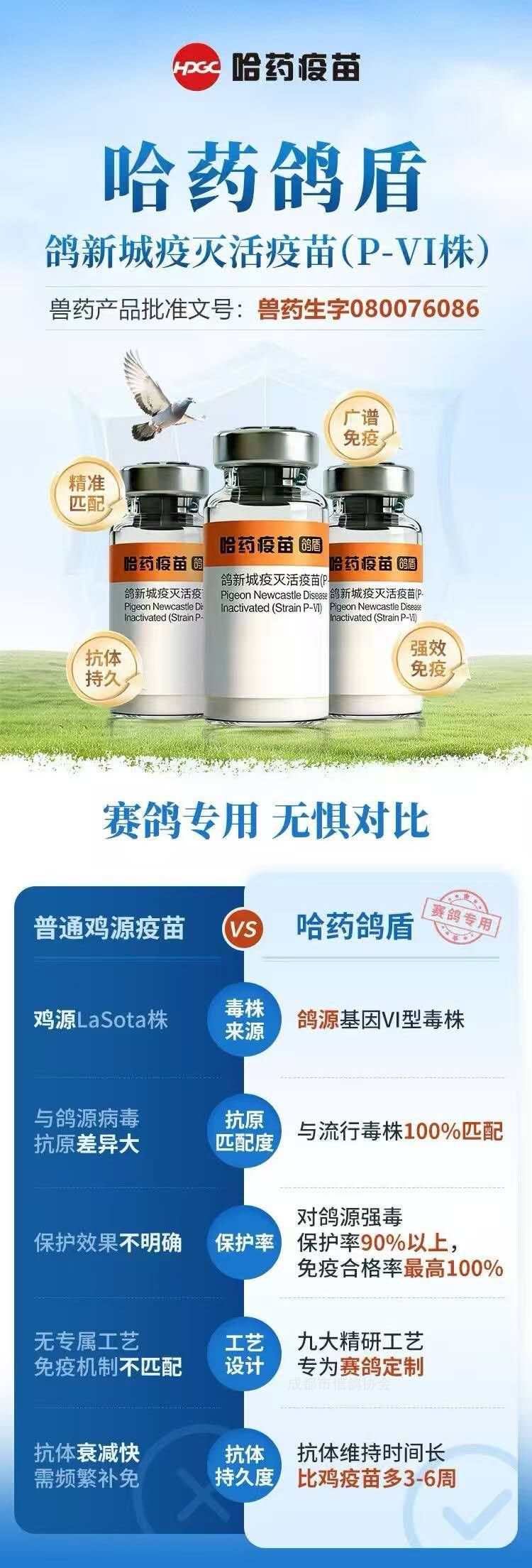 合法合规赛鸽专用疫苗