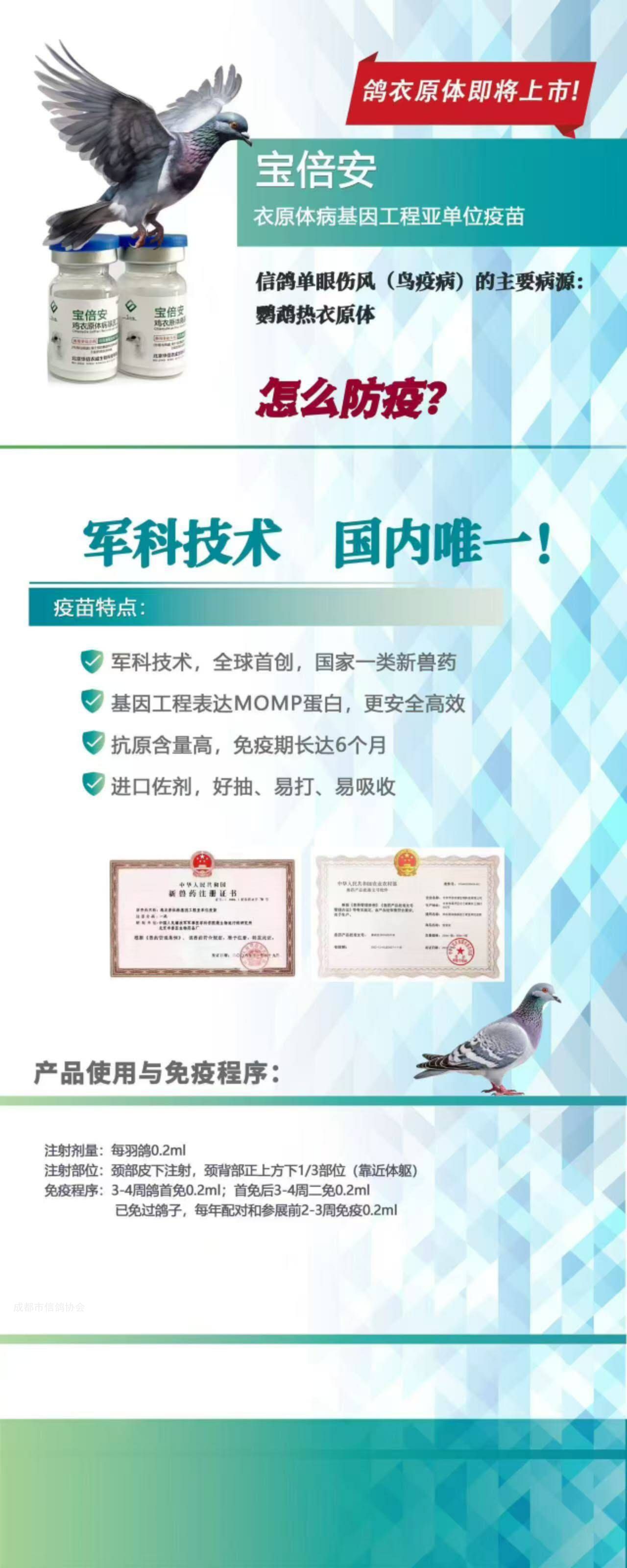 合法合规赛鸽专用疫苗